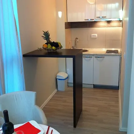 Apartments And Rooms Grand Palazzo Будва Номер фото